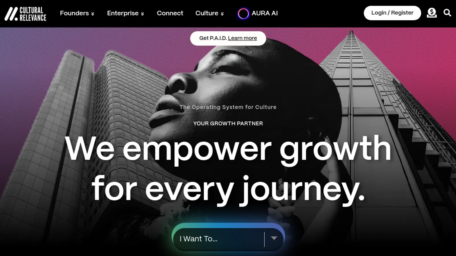 Screenshot of the Cultural Relevance homepage