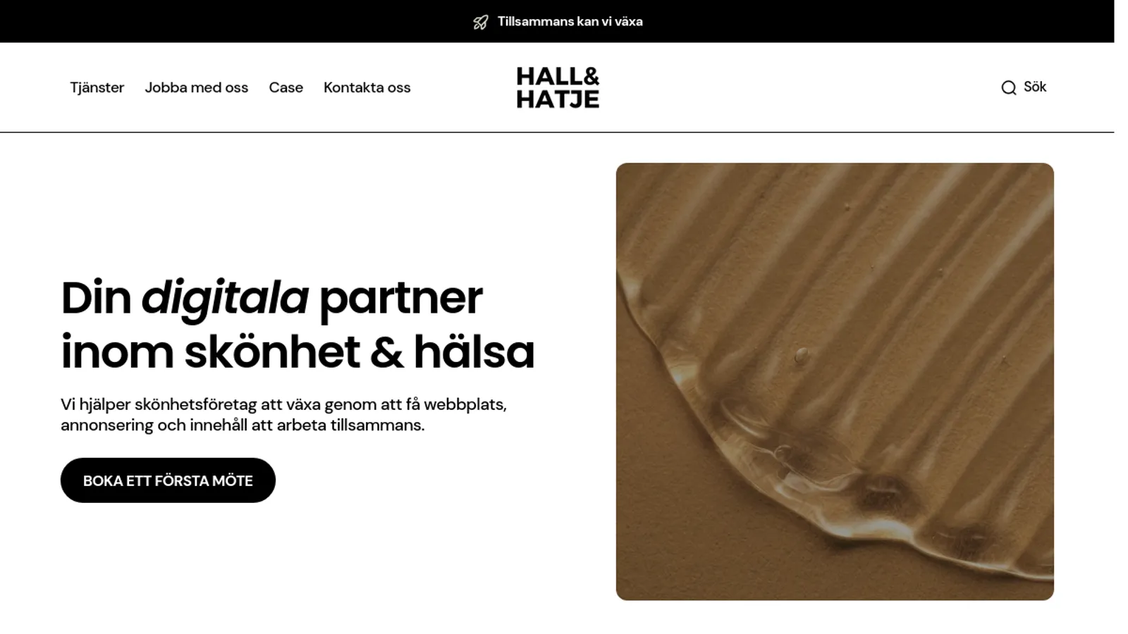 Screenshot of the Hall & Hatje homepage