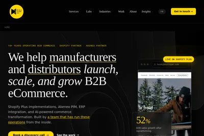 Screenshot of the Human After All homepage