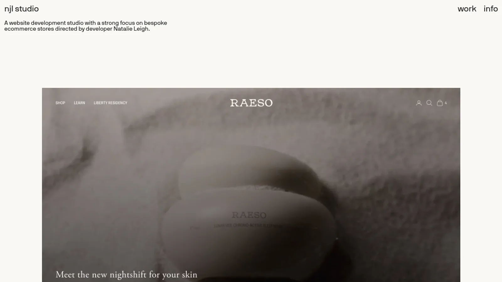 Screenshot of the NJL Studio homepage