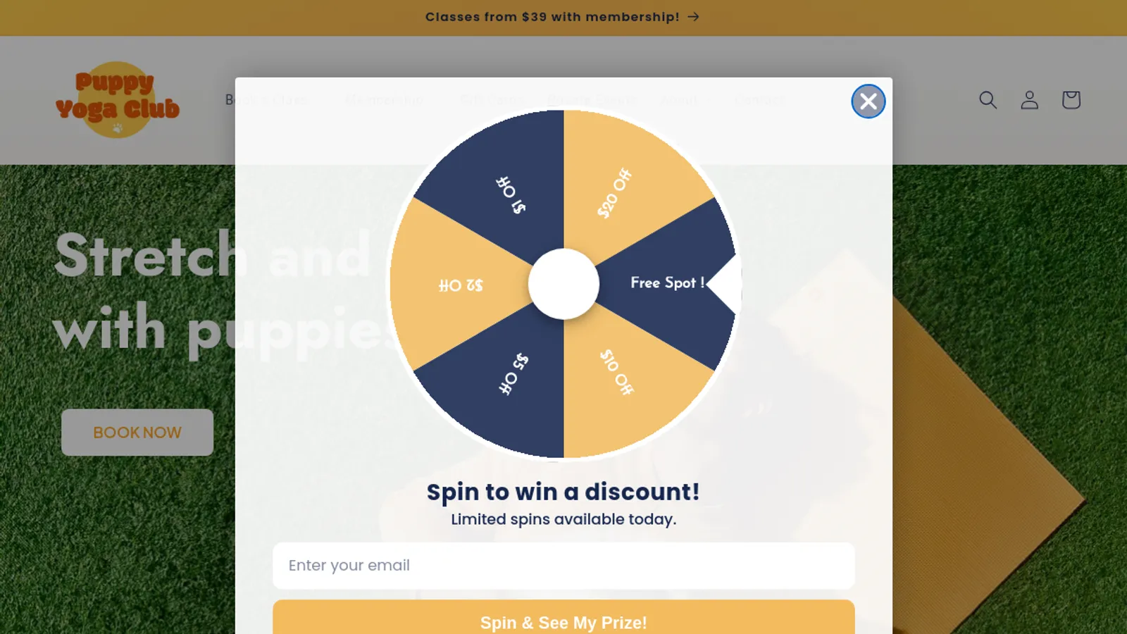 Screenshot of the Parduman Rana homepage