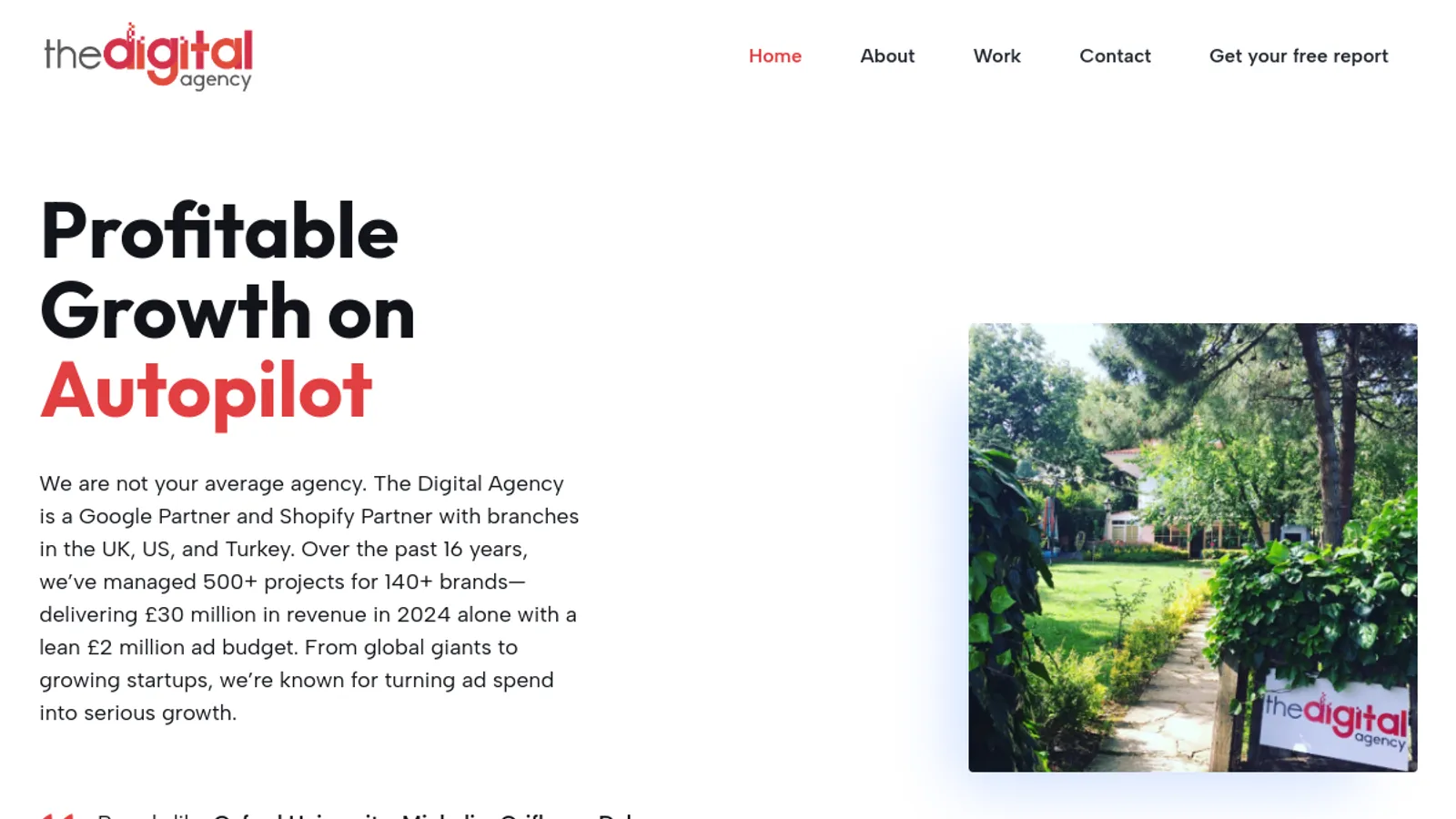 Screenshot of the THE DIGITAL AGENCY homepage