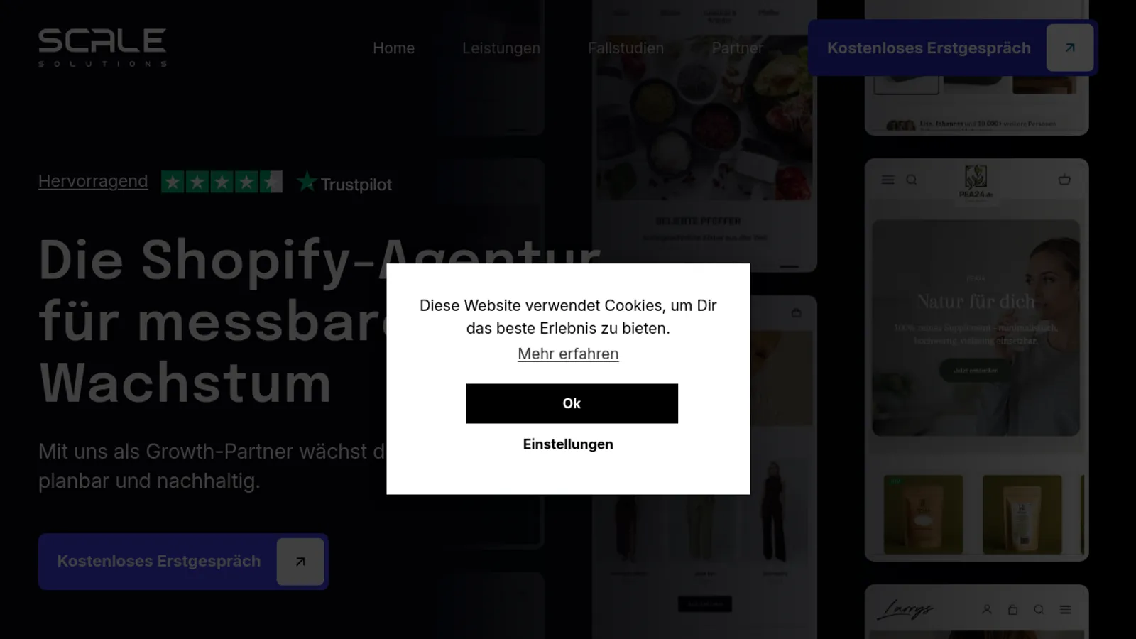 Screenshot of the Scale Solutions homepage