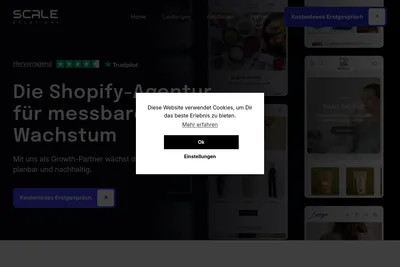 Screenshot of the Scale Solutions homepage