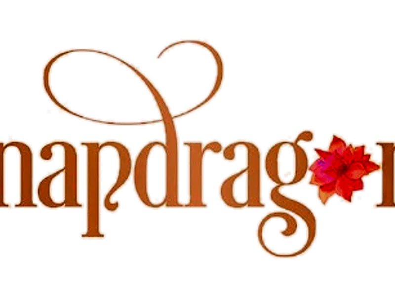 Snapdragon Coffee & Social