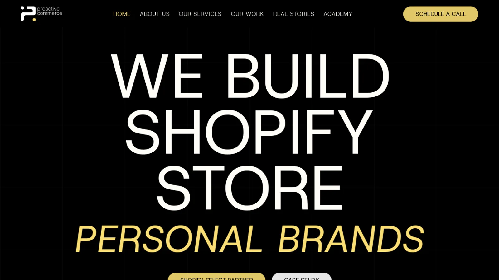Screenshot of the Proactivo Commerce homepage