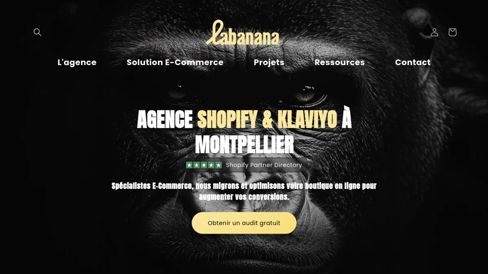 Screenshot of the Labanana homepage