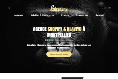 Screenshot of the Labanana homepage