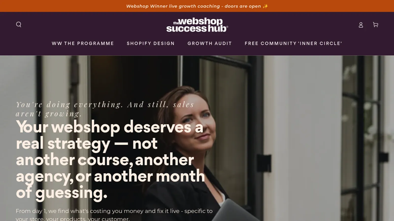 Screenshot of the The Webshop Success Hub homepage