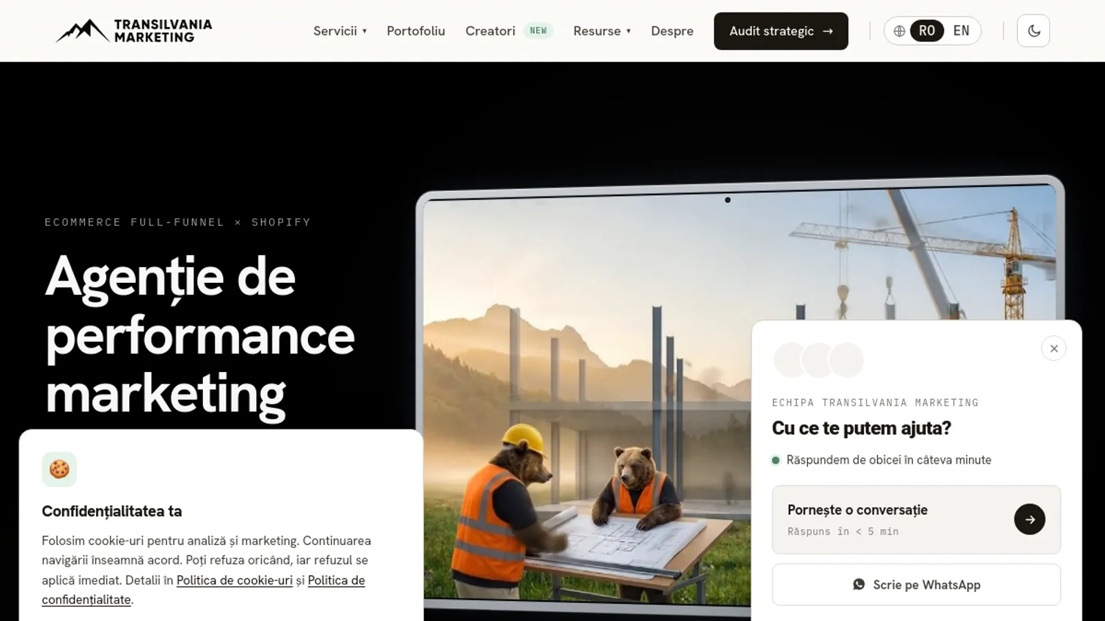 Screenshot of the TRANSYLVANIA MARKETING homepage