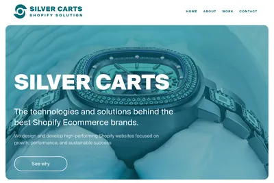 Screenshot of the Silver Carts homepage