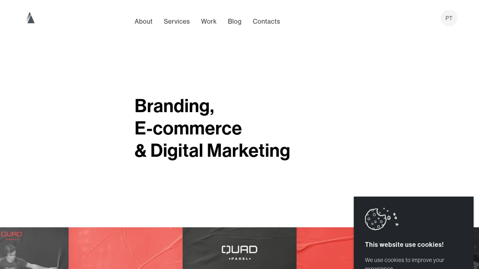 Screenshot of the Alaska Agency homepage