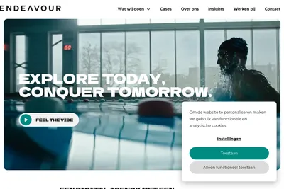 Screenshot of the Endeavour BV homepage