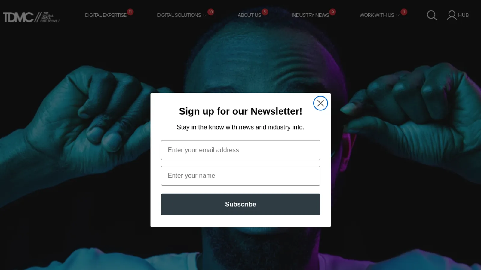 Screenshot of the TDMC homepage