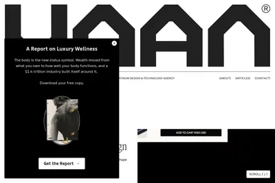 Screenshot of the The Vaan Group homepage