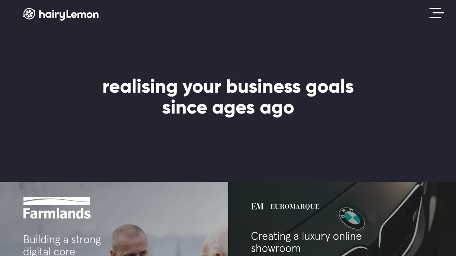 Screenshot of the hairyLemon homepage