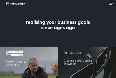 Screenshot of the hairyLemon homepage