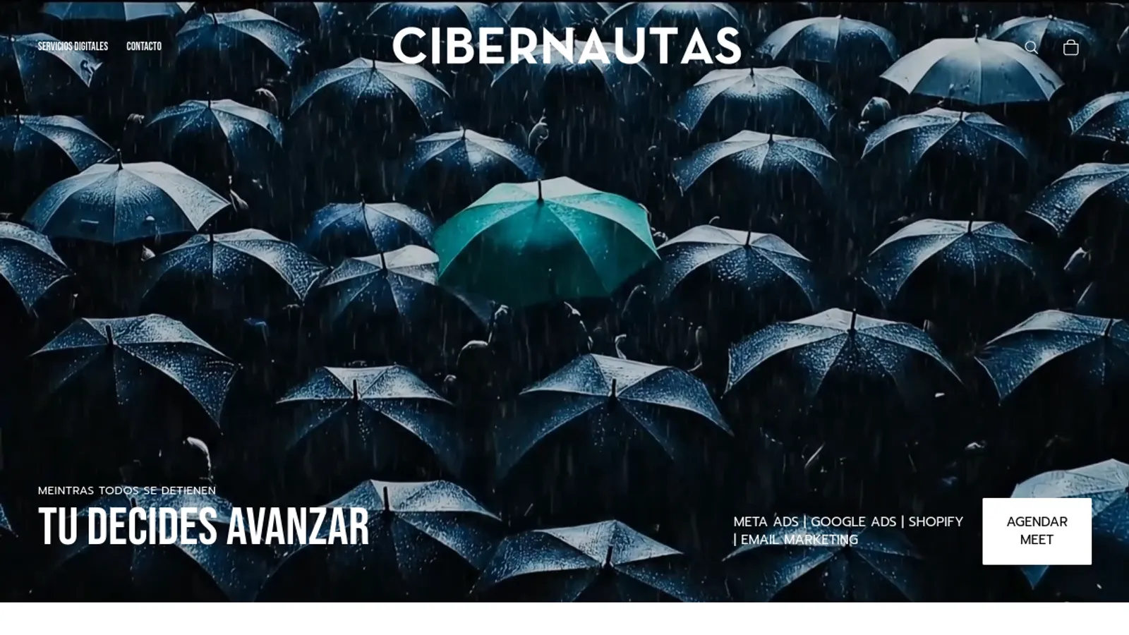 Screenshot of the Cibernautas homepage