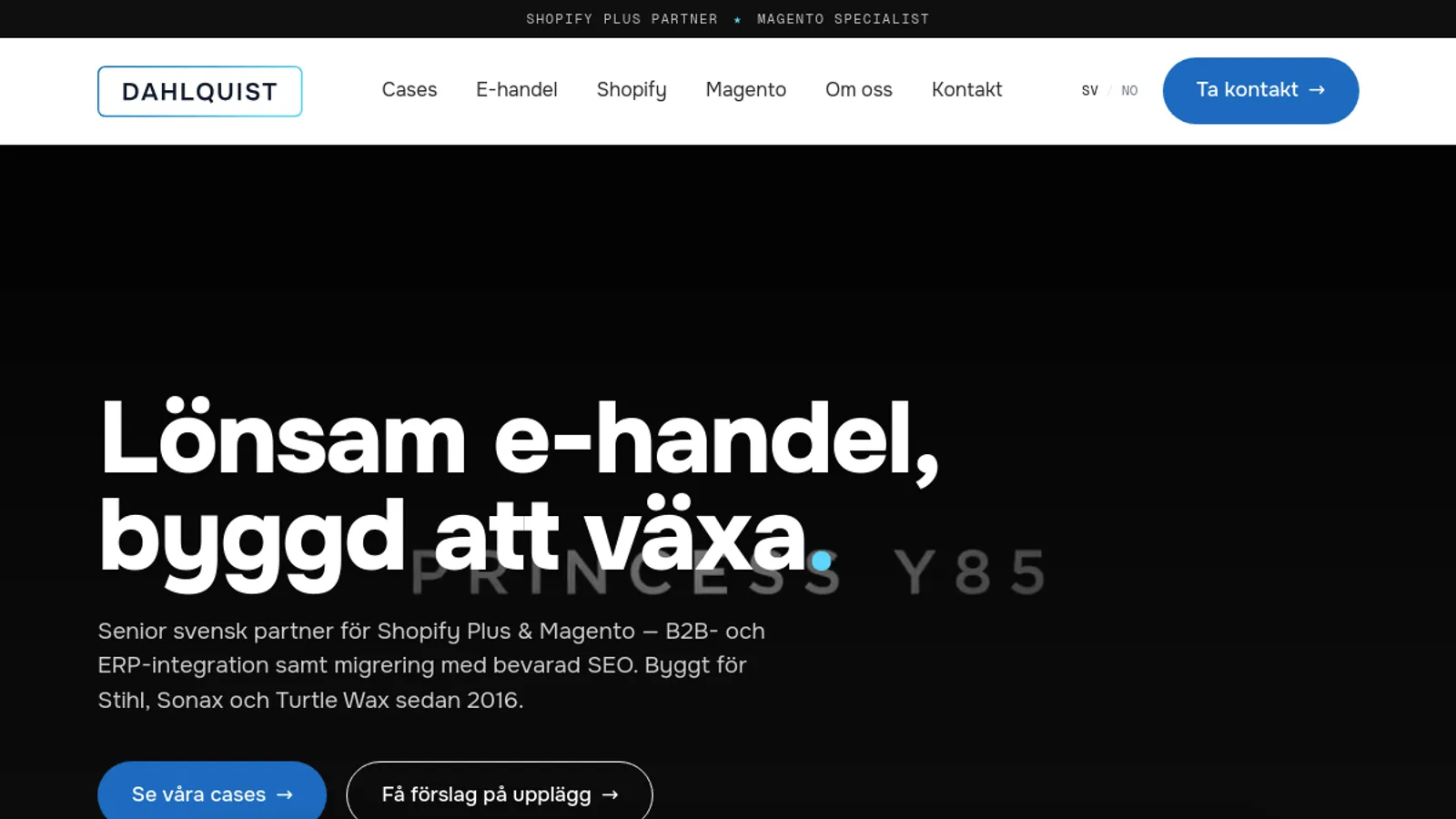 Screenshot of the Dahlquist E-handelskonsulter homepage