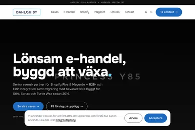 Screenshot of the Dahlquist E-handelskonsulter homepage