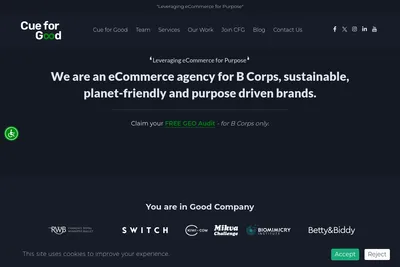 Screenshot of the Cue For Good Solutions Pvt. Ltd. homepage
