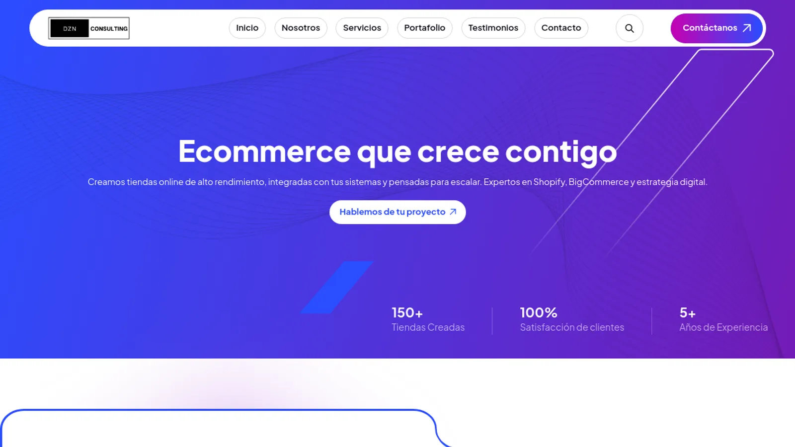 Screenshot of the DZN Consulting homepage