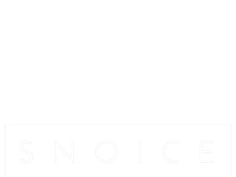 Snoice