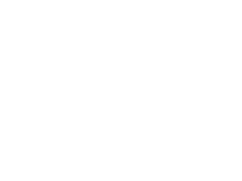 Saratoga Tea & Honey Company