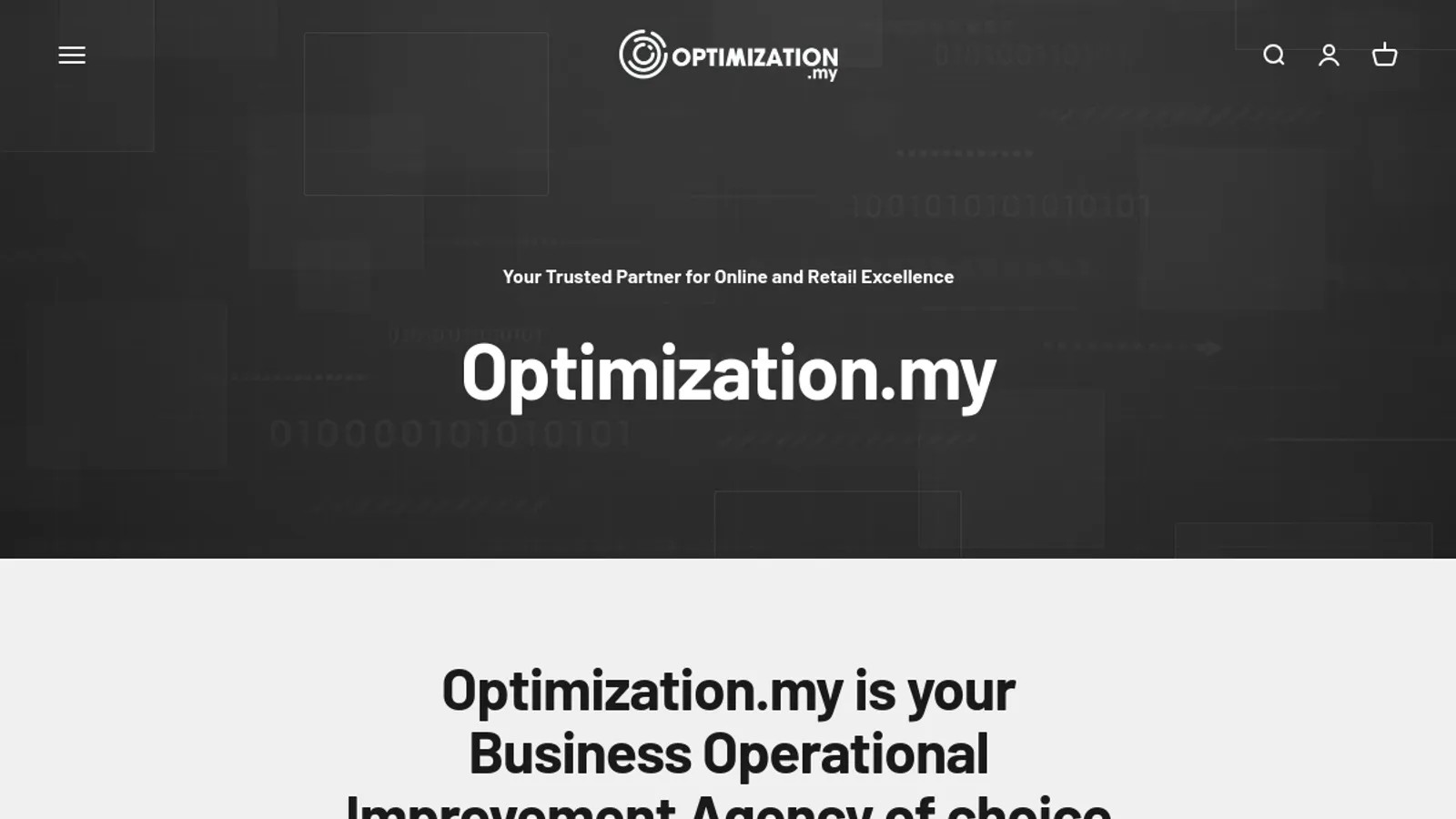 Screenshot of the Optimization.my homepage