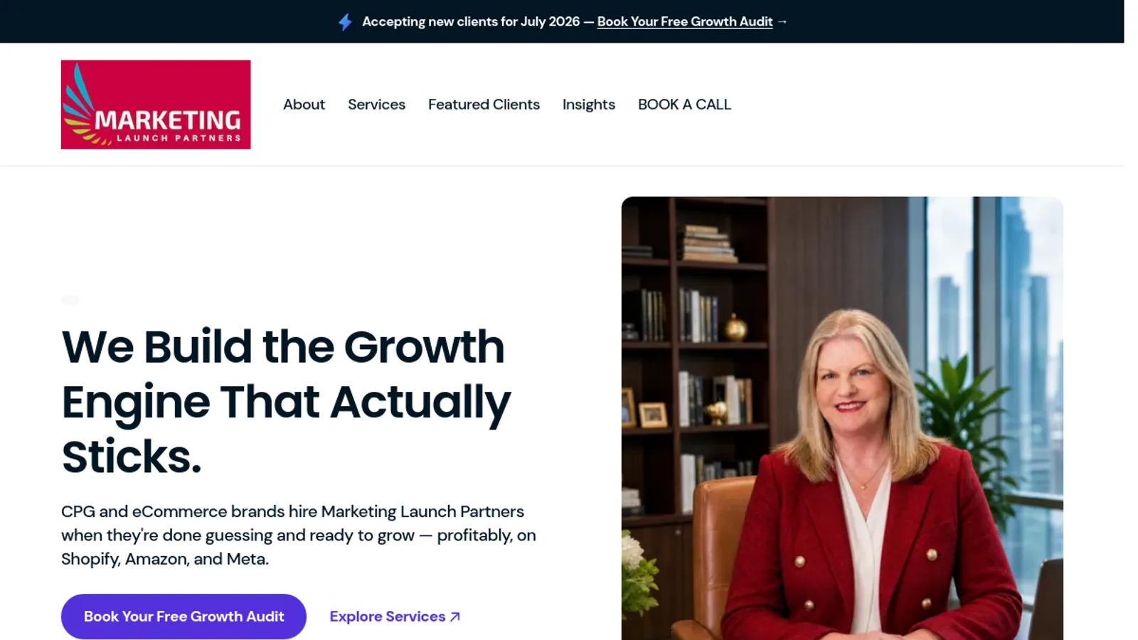 Screenshot of the Marketing Launch Partners LLC homepage