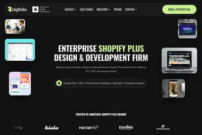 Screenshot of the Bigfolio LLC — Shοpify Plus, Hydrogen, Custom Apps & ERP Integrations | Los Angeles homepage