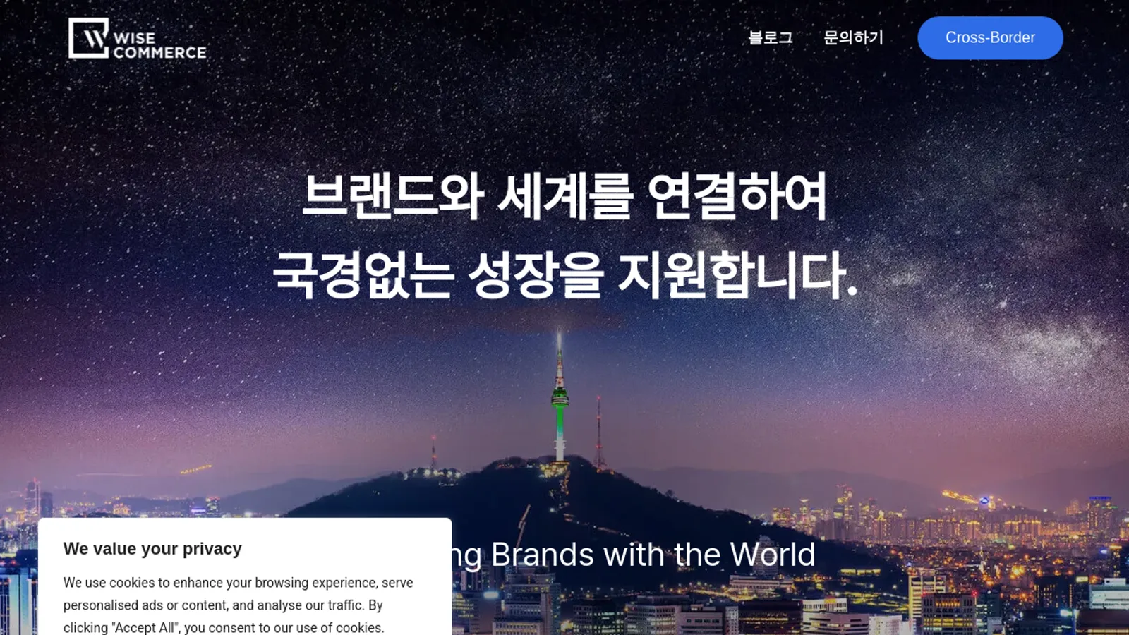 Screenshot of the WISE COMMERCE homepage