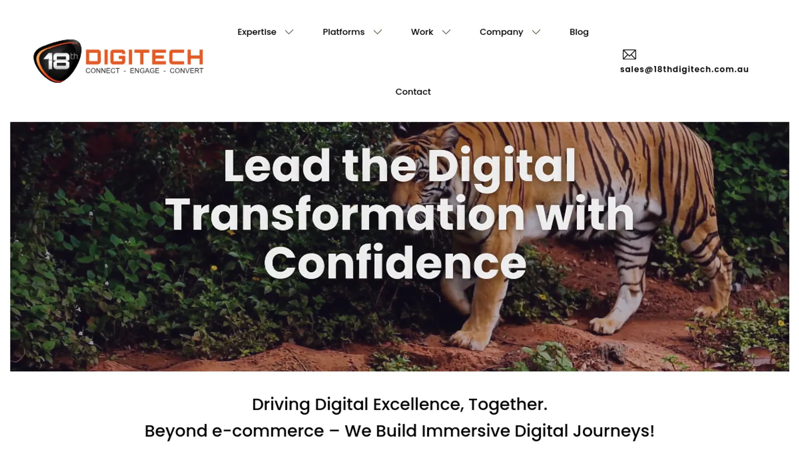 Screenshot of the 18th Digitech homepage