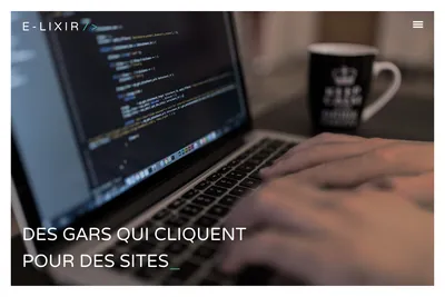 Screenshot of the E-LIXIR homepage