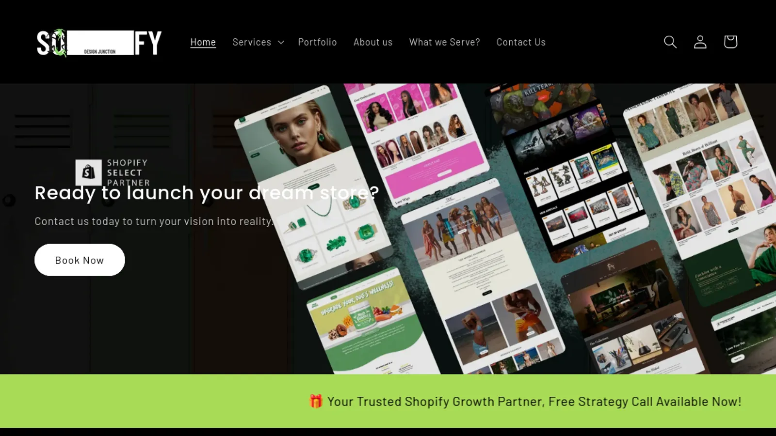 Screenshot of the Solenitfy Trsuted by Partner homepage