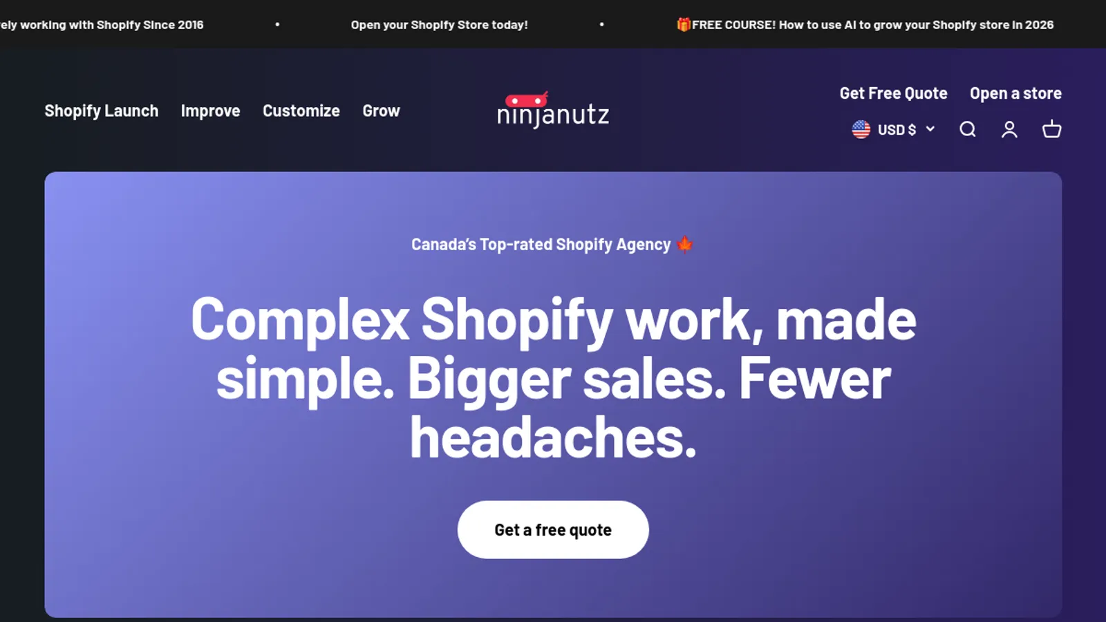 Screenshot of the NinjaNutz Digital Inc. homepage