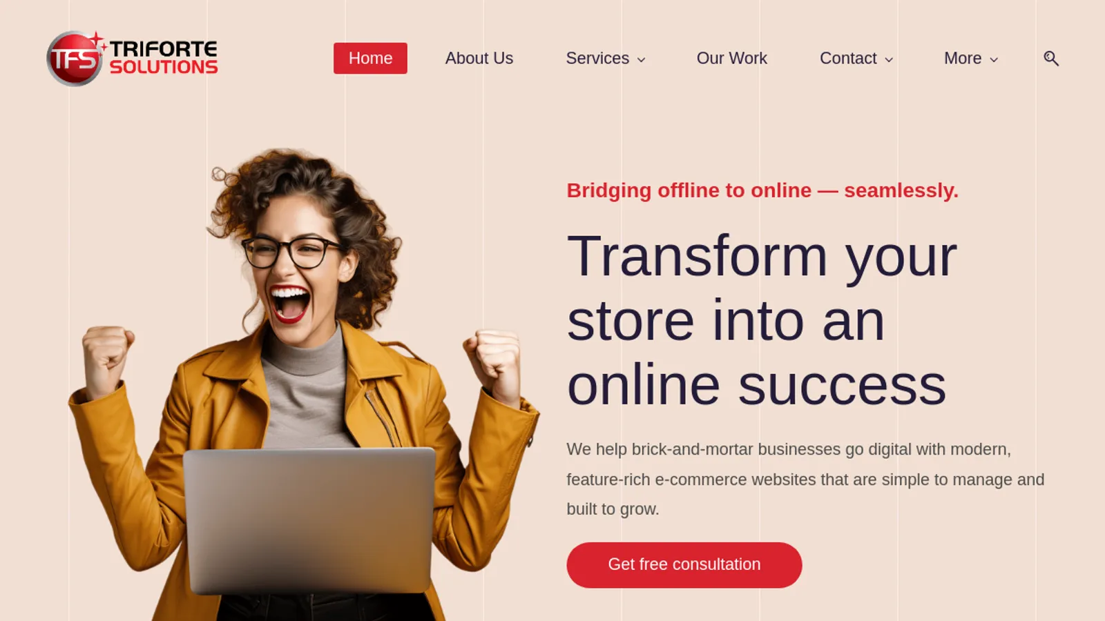Screenshot of the Triforte Solutions homepage