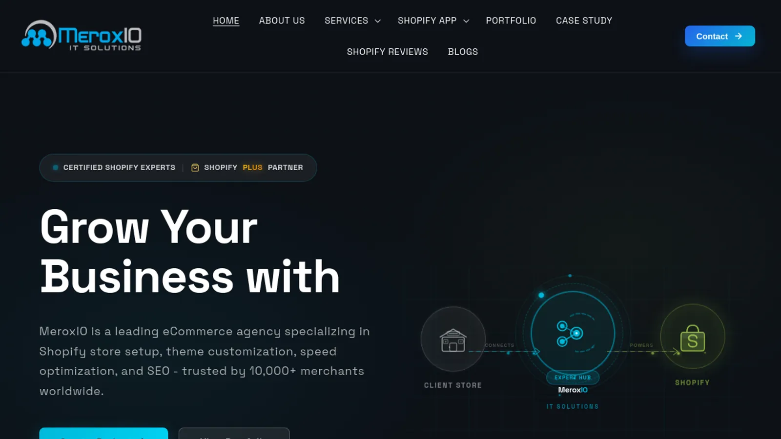 Screenshot of the MeroxIO IT Solutions homepage