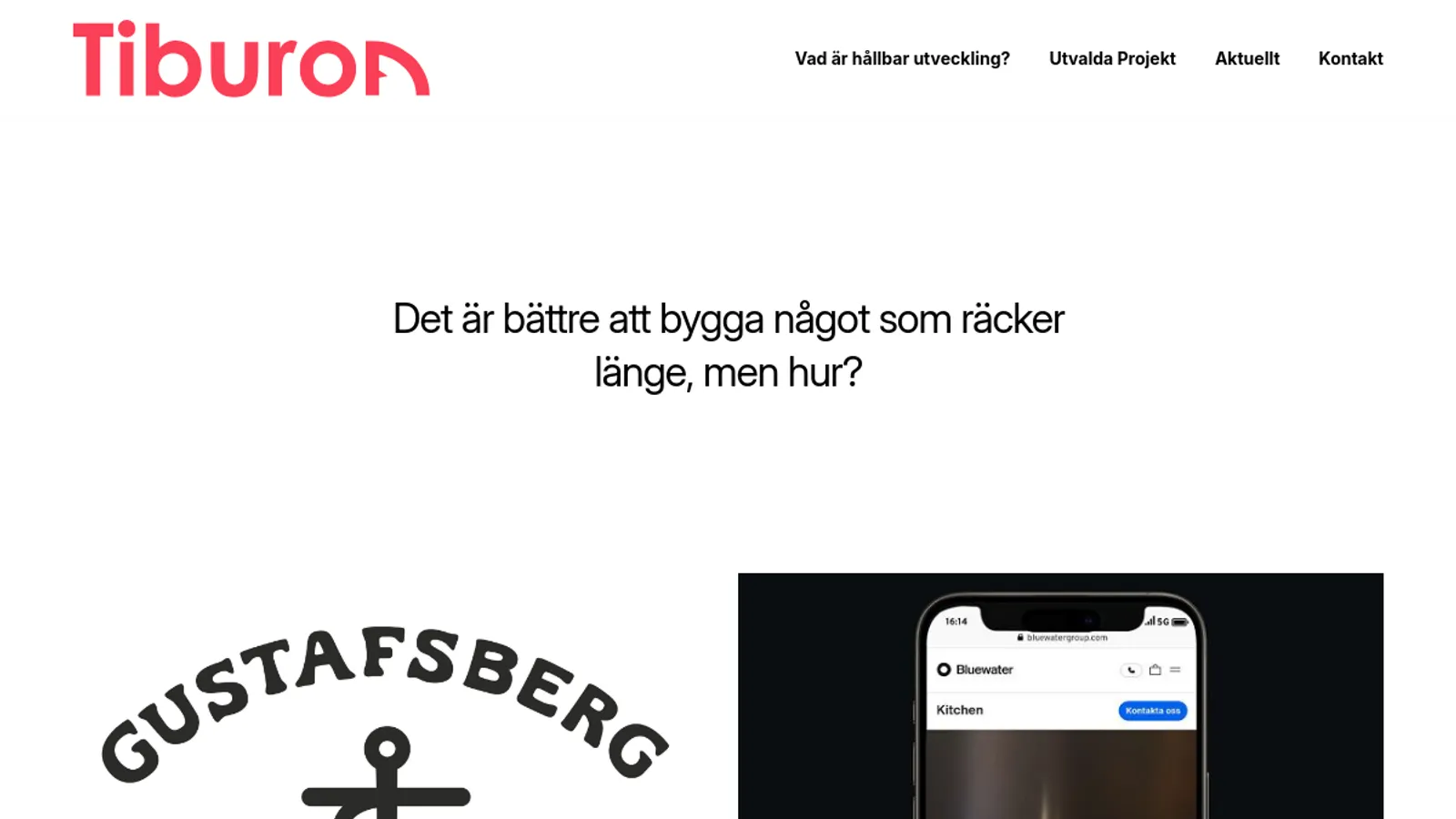 Screenshot of the Tiburon homepage