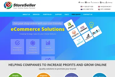 Screenshot of the eStoreSeller homepage