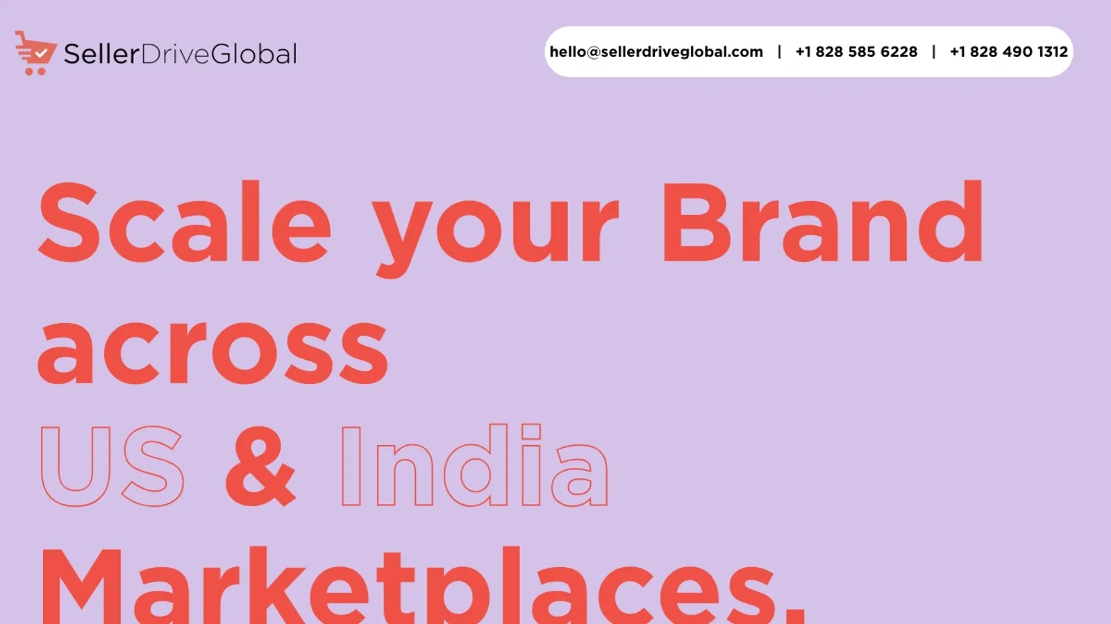 Screenshot of the Seller Drive Global homepage