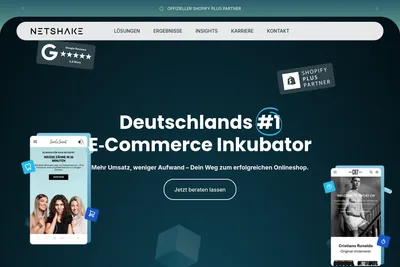 Screenshot of the NETSHAKE homepage