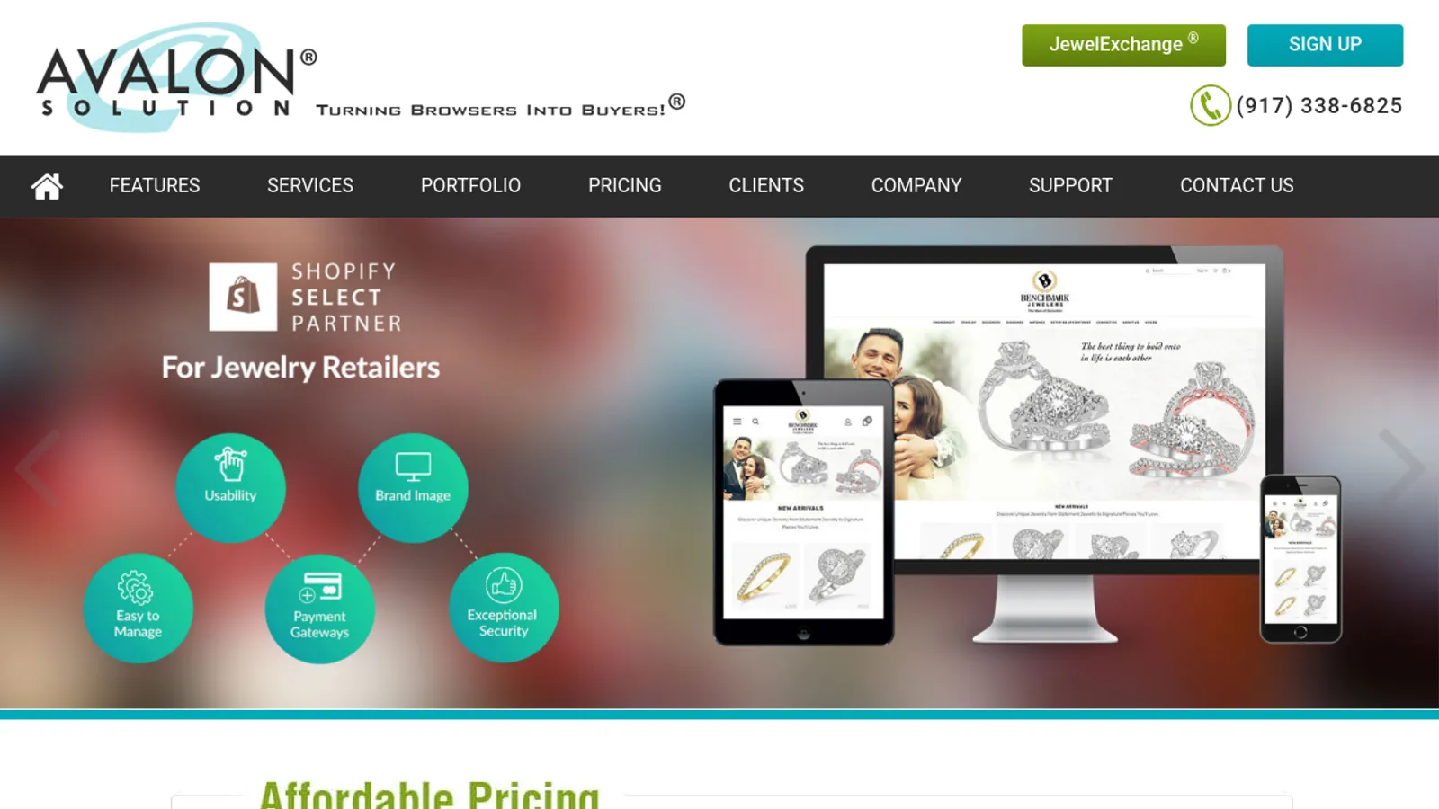 Screenshot of the Avalon Solution homepage