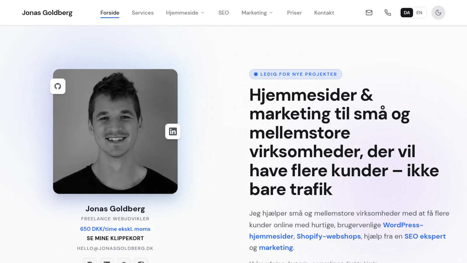 Screenshot of the J. Goldberg homepage