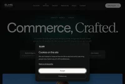 Screenshot of the Elms Agency homepage