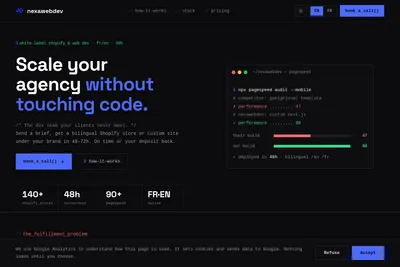 Screenshot of the NexaWebDev homepage