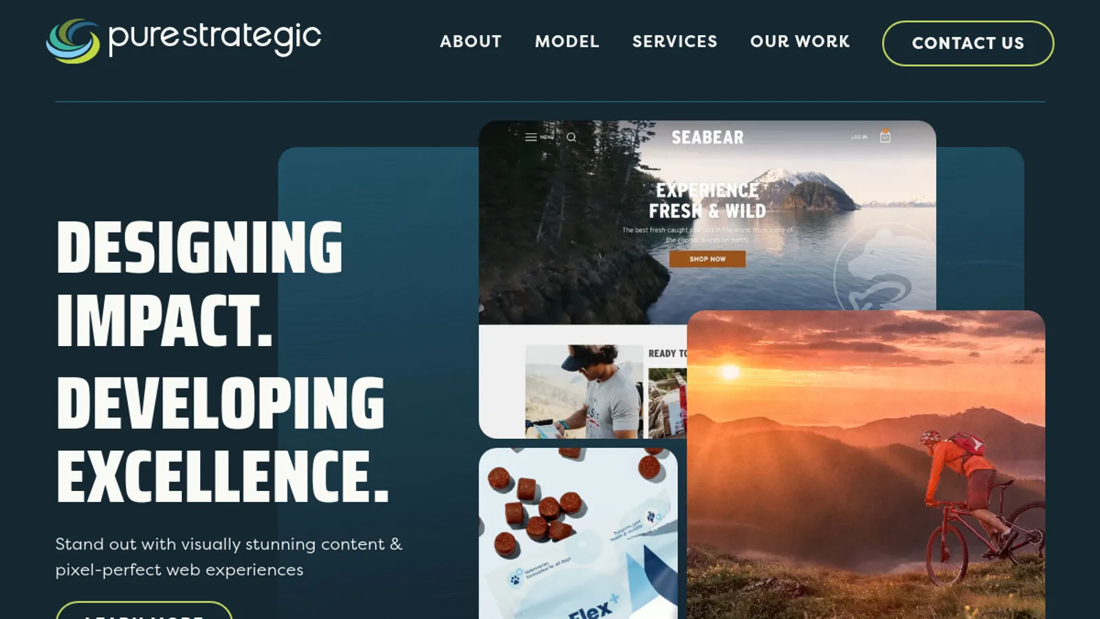 Screenshot of the Pure Strategic homepage
