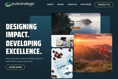Screenshot of the Pure Strategic homepage
