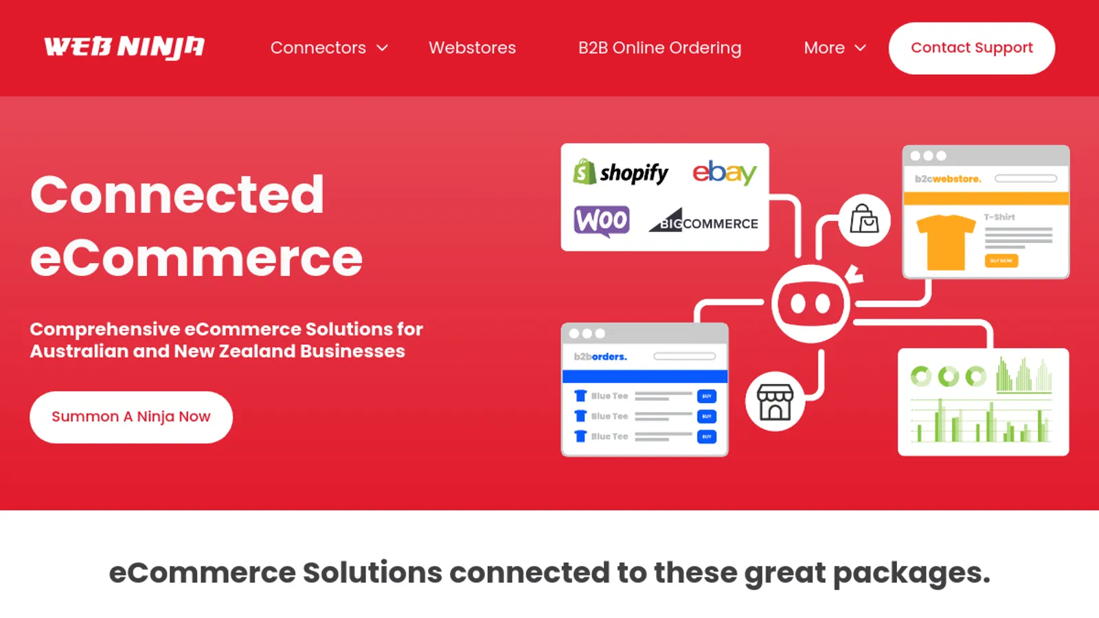 Screenshot of the Web Ninja Pty Ltd homepage