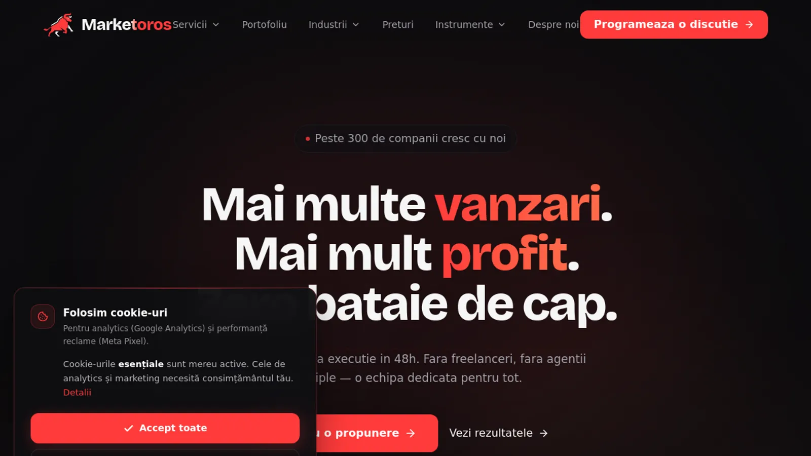 Screenshot of the Marketoros homepage